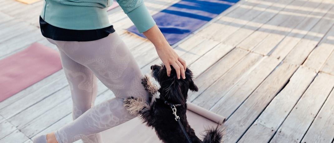 Puppy Yoga: Το νέο trend και γιατί να το υιοθετήσεις