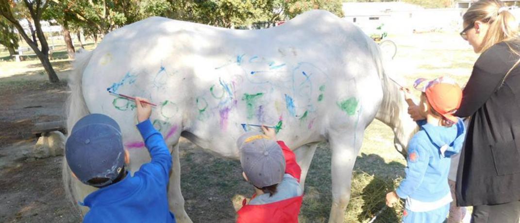 Η αδιανόητη κίνηση νηπιαγωγών στη Θεσσαλονίκη -Εβαλαν παιδάκια να ζωγραφίσουν πάνω σε άλογο | 0 bovary.gr