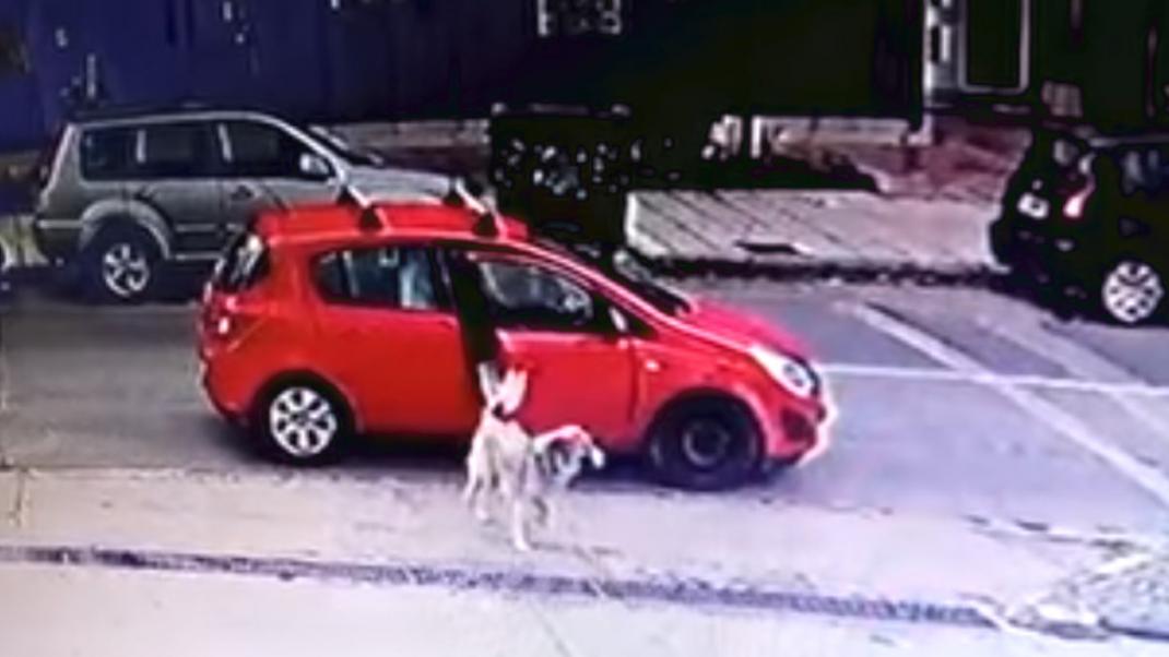 Οδηγός στη Θεσσαλονίκη εγκαταλείπει το σκύλο της αλλά την καταγράφει κάμερα ασφαλείας | 0 bovary.gr