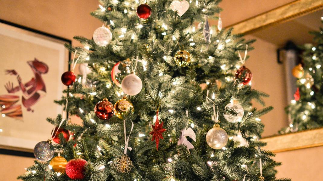 Η σοκαριστική αλήθεια για τα ψεύτικα χριστουγεννιατικα δέντρα | 0 bovary.gr
