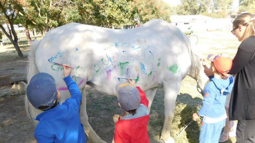 Η αδιανόητη κίνηση νηπιαγωγών στη Θεσσαλονίκη -Εβαλαν παιδάκια να ζωγραφίσουν πάνω σε άλογο | 0 bovary.gr