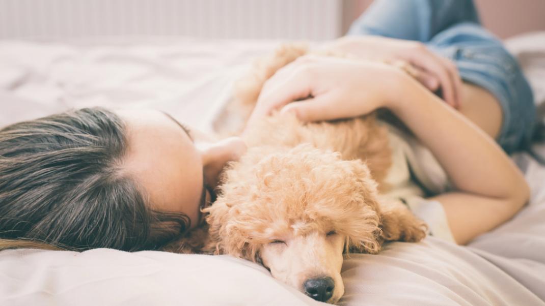 Το να κοιμάσαι με το σκύλο σου κάνει καλό /Shutterstock