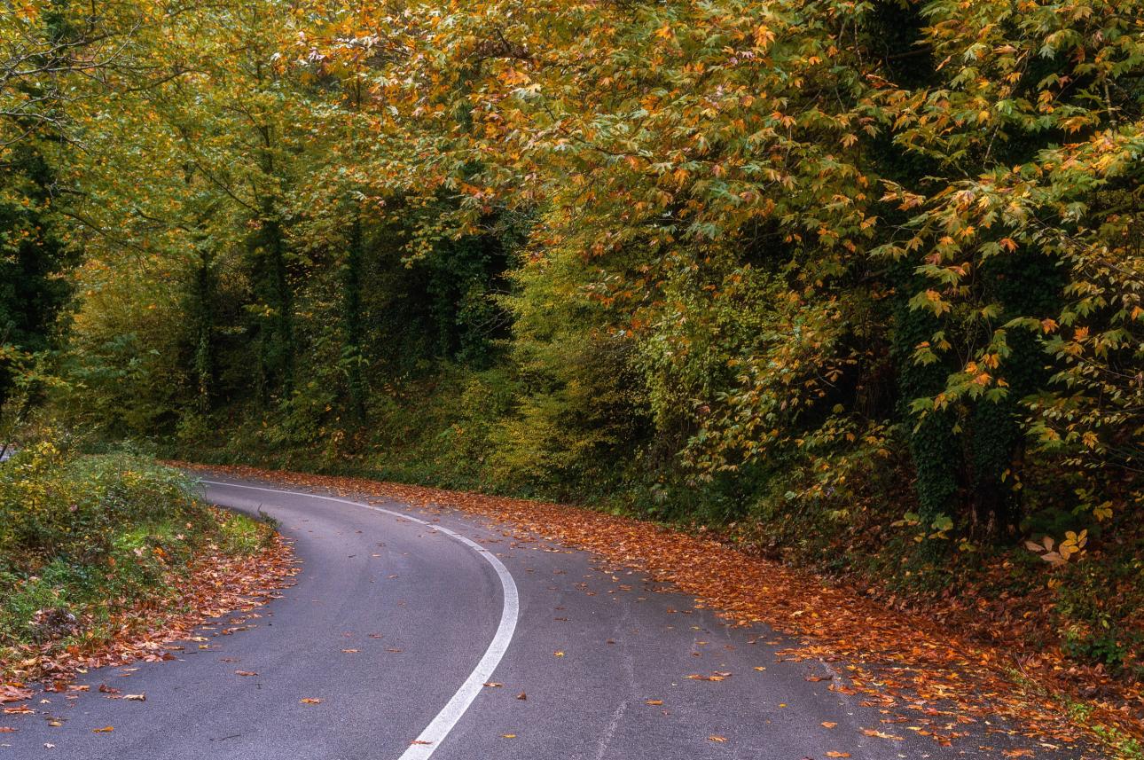 Στο δρόμο για Καρπενήσι -Shutterstock