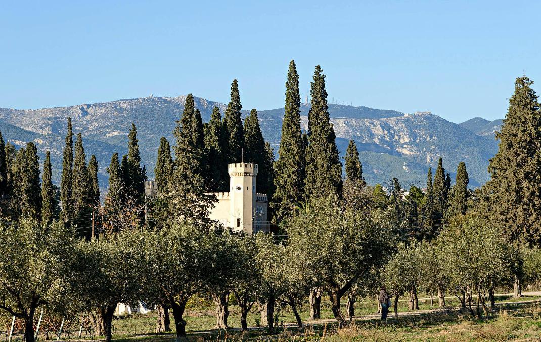 Φωτογραφία: Hλίας Γεωργουλέας/ Φωτογραφία: Πύργος Βασιλίσσης -Facebook 