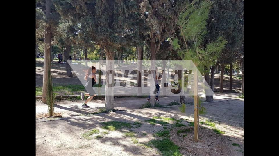 Survivor Mania Ti Einai To Survivor Game Poy Ekanan Sto Alsos Neas Smyrnhs Bovary