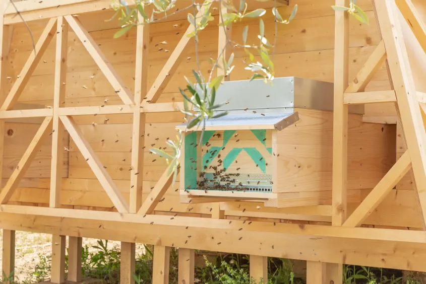 «Air Bee and Bee»: Στην Ιταλία μπορείς να κοιμηθείς παρέα με ένα εκατομμύριο μέλισσες 