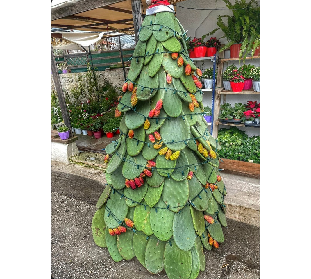  χριστουγεννιάτικο δέντρο 