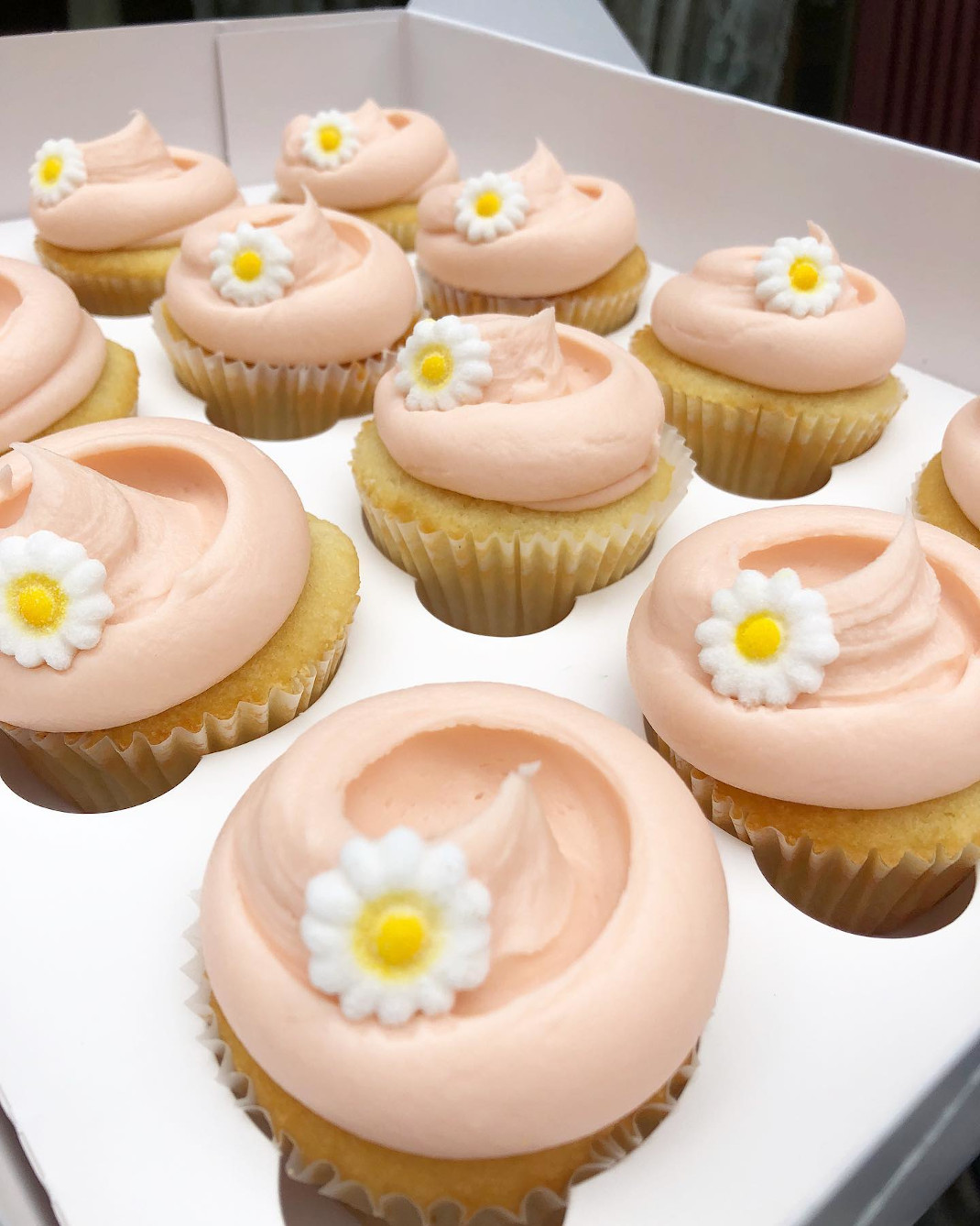 cupcakes