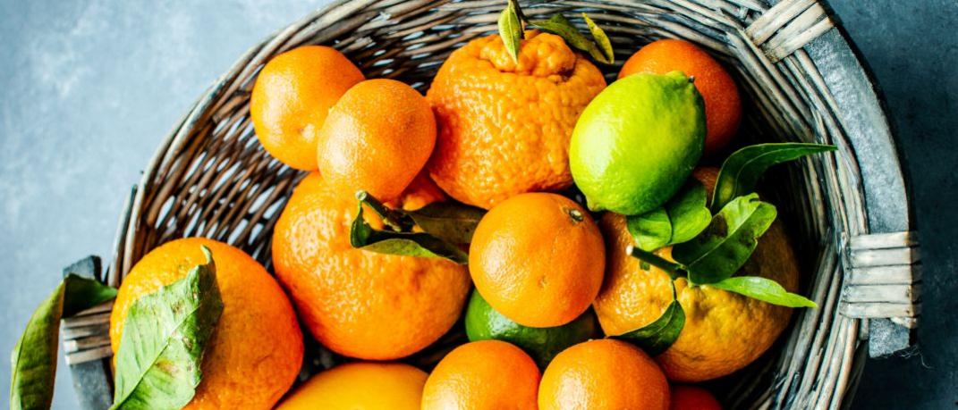 Καλάθι με πορτοκάλια και λεμόνια