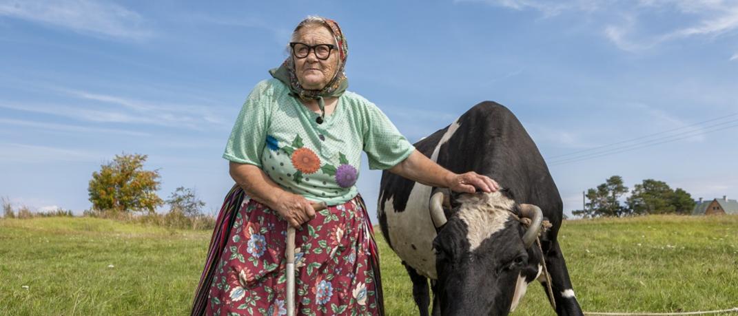ηλικιωμένη γυναίκα με γυαλιά ακουμπά ταύρι