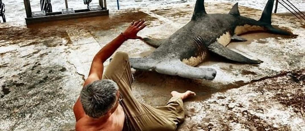Καλλιτέχνης έχει φτιάξει καρχαρία από άμμο 