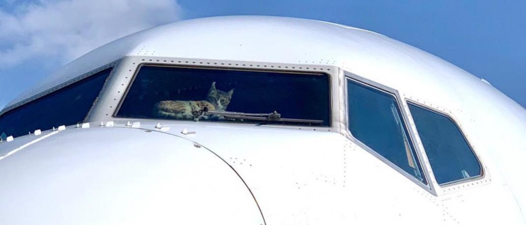 Η γάτα τρύπωσε στο πιλοτήριο