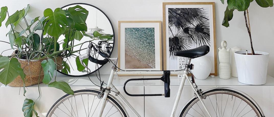 Μπουφές μίνιμαλ ποδήλατο φυτά εσωτερικού χώρου 