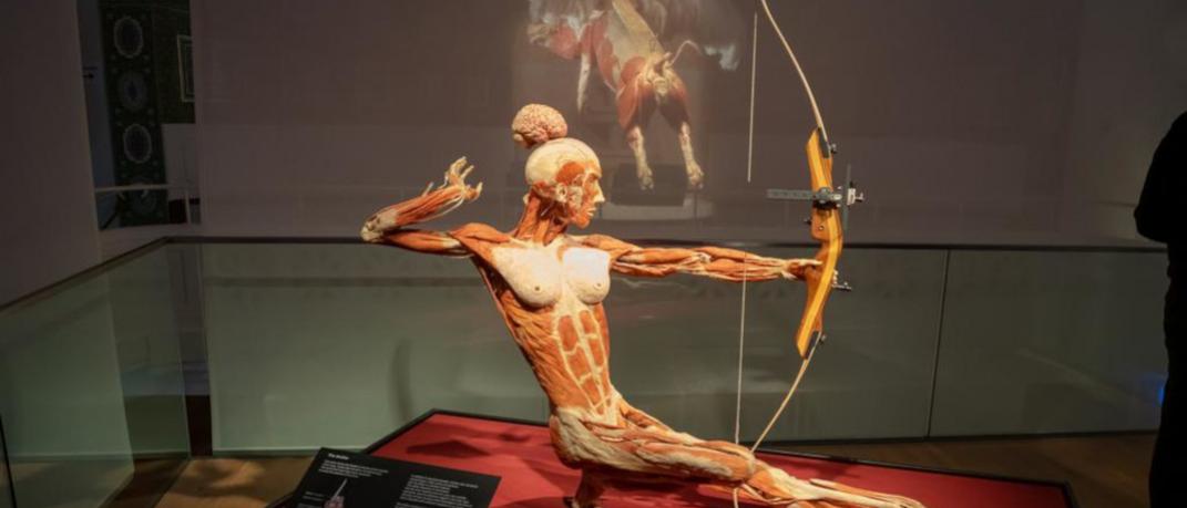 Body World