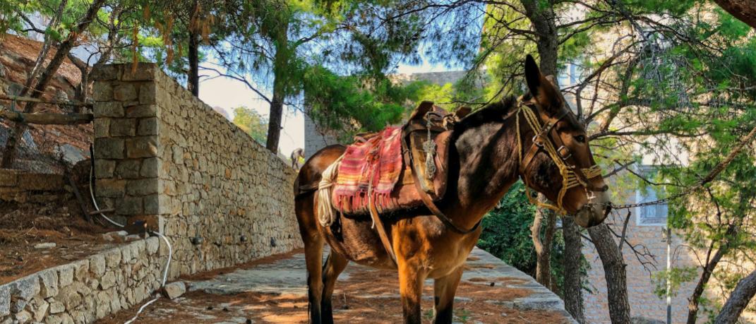 To εστιατόριο βρίσκεται σε ένα πανέμορφο νησί