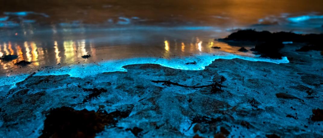 Jervis Bay, Australia 