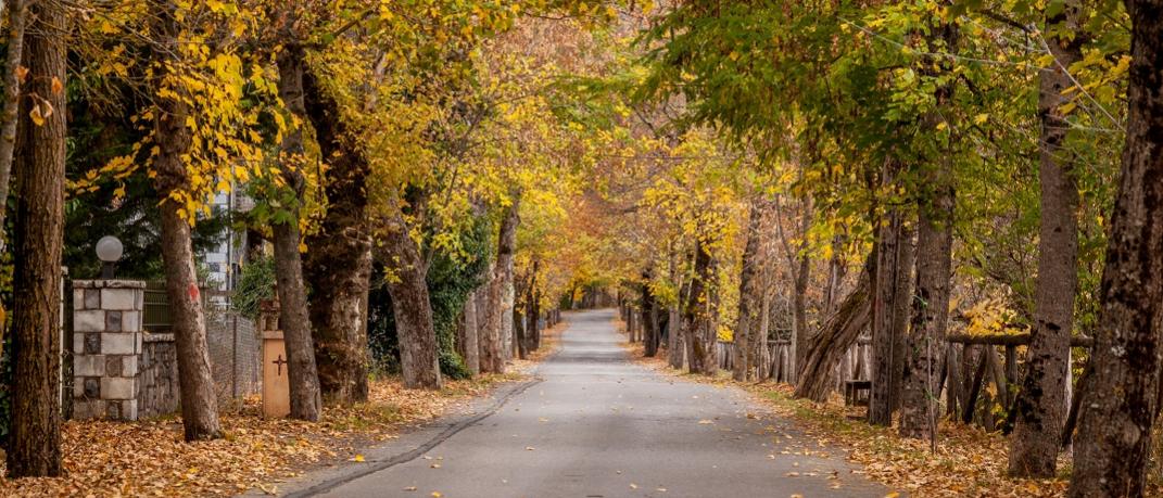 Ο δρόμος της Αγάπης, Βυτίνα, Φωτογραφία: Shutterstock