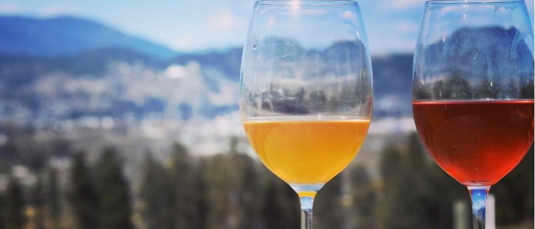 Πορτοκαλί κρασί, η νέα, ψαγμένη τάση οινοποσίας -Ιδιαίτερη γεύση, οι ελληνικές ετικέτες | 0 bovary.gr