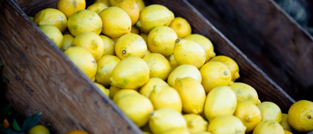 Πώς θα διατηρήσετε φρέσκα τα λεμόνια για τρεις μήνες  | 0 bovary.gr