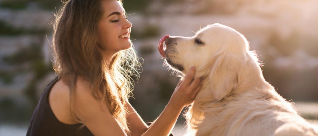 5 λόγοι να υιοθετήσεις σκύλο -Η επιστήμη μίλησε | 0 bovary.gr