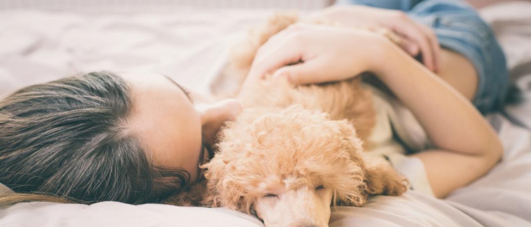 Το να κοιμάσαι με το σκύλο σου κάνει καλό /Shutterstock