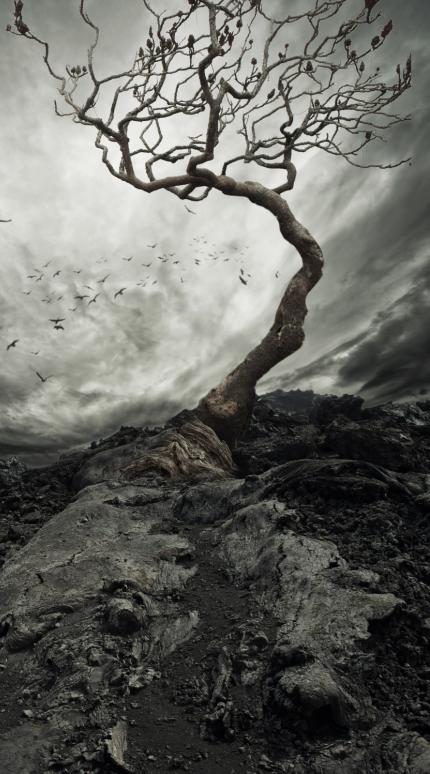 Η μαγική λέξη που πρέπει να λες κάθε πρωί σύμφωνα με τους ψυχολόγους