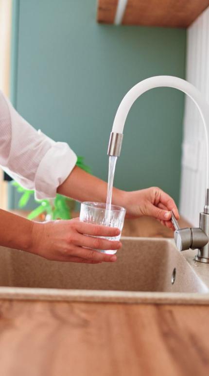 Το νερό βρύσης είναι προτιμότερο, ιδανικά με τη χρήση φίλτρου