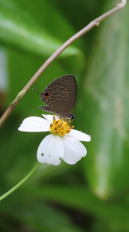 Φωτογραφία: Shutterstock