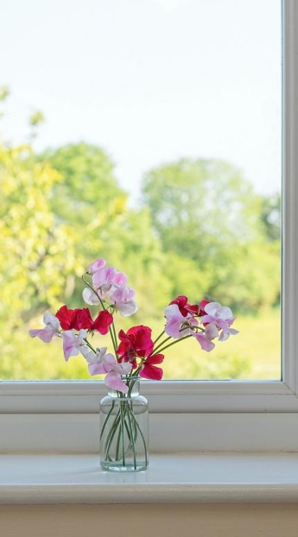 Παράθυρο/Φωτογραφία Unsplash 