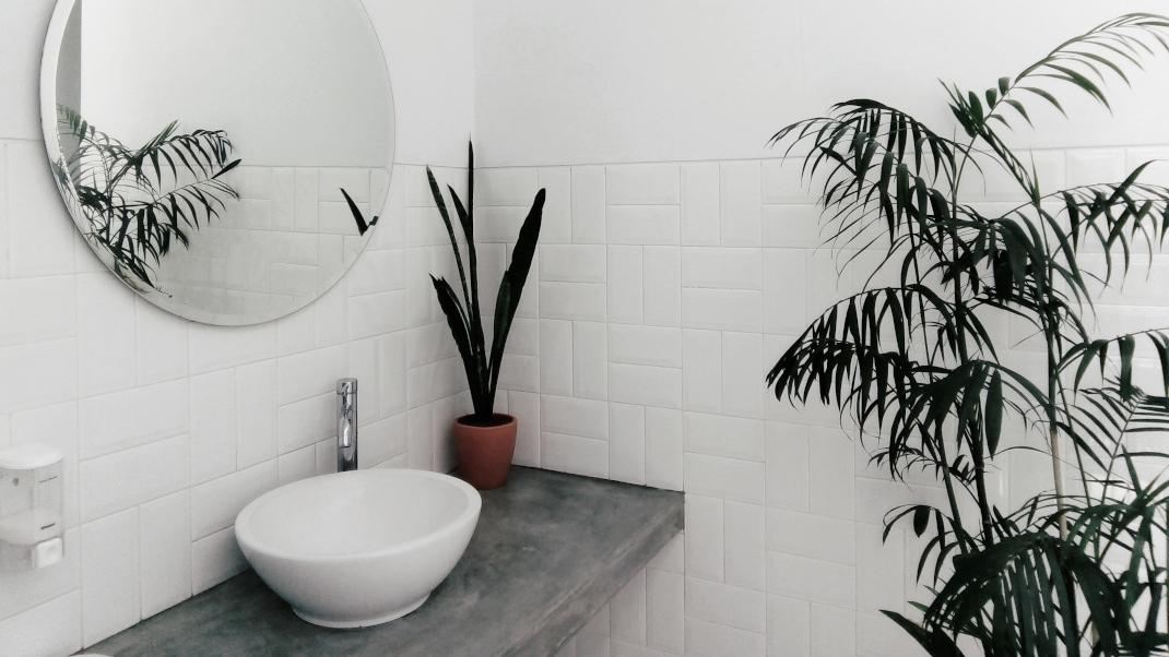 Mπάνιο διαμερίσματος με μεγάλο στρογγυλό καθρέπτης, φυτά, νιπτήρα 