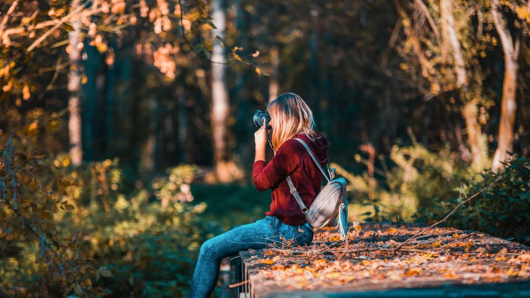 Γυναίκα καθισμένη φωτογραφίζει σε δάσος 