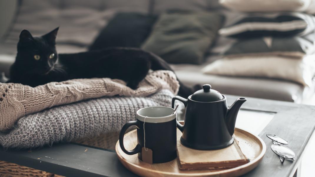 Μια μαύρη γάτα κάθεται πάνω σε πουλόβερ στο σαλόνι και υπάρχει τσάι στο τραπέζι 