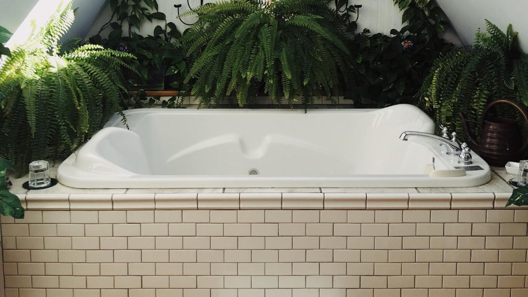 Μπάνιο με φυτά