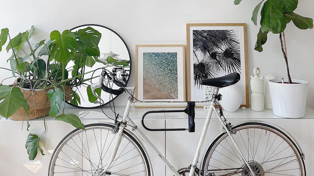 Μπουφές μίνιμαλ ποδήλατο φυτά εσωτερικού χώρου 