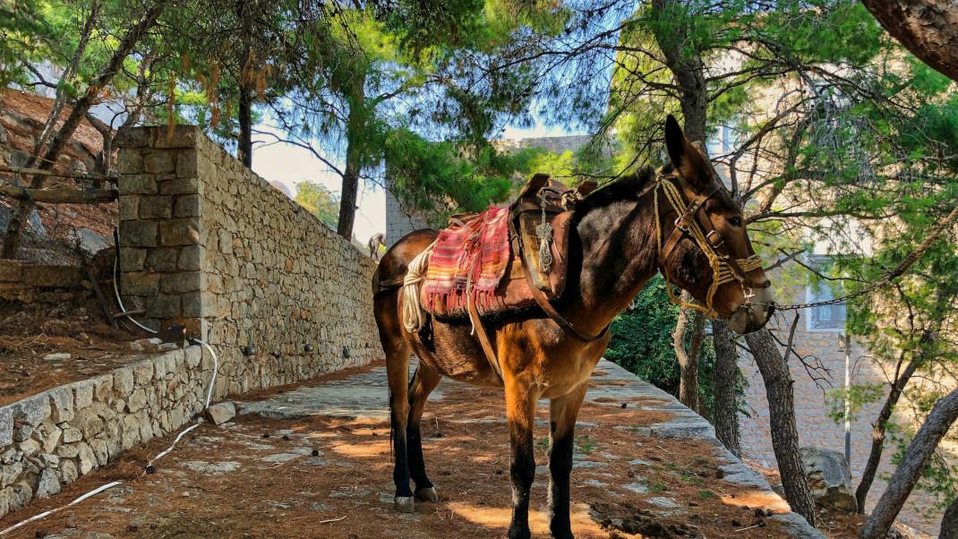 To εστιατόριο βρίσκεται σε ένα πανέμορφο νησί