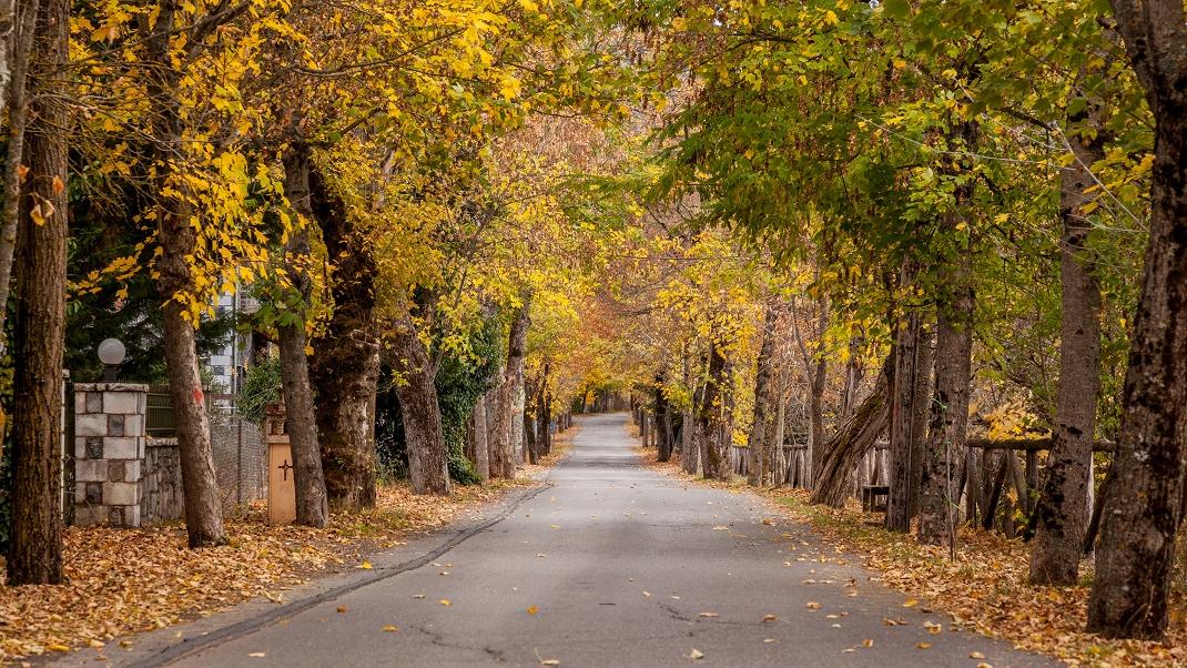 Ο δρόμος της Αγάπης, Βυτίνα, Φωτογραφία: Shutterstock