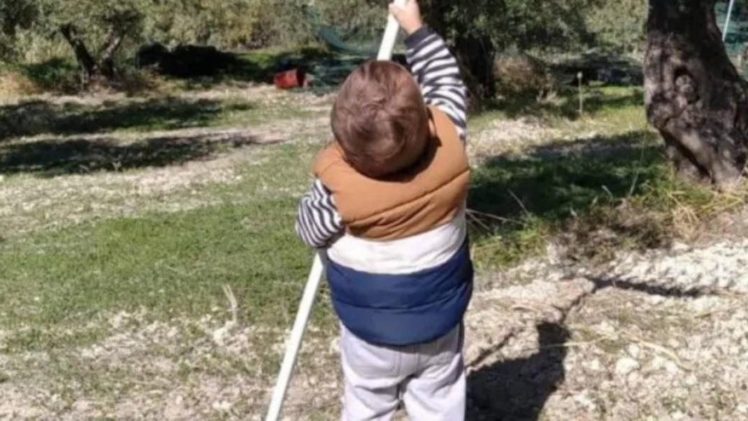 Viral ο 2χρονος Στέλιος που μαζεύει ελιές
