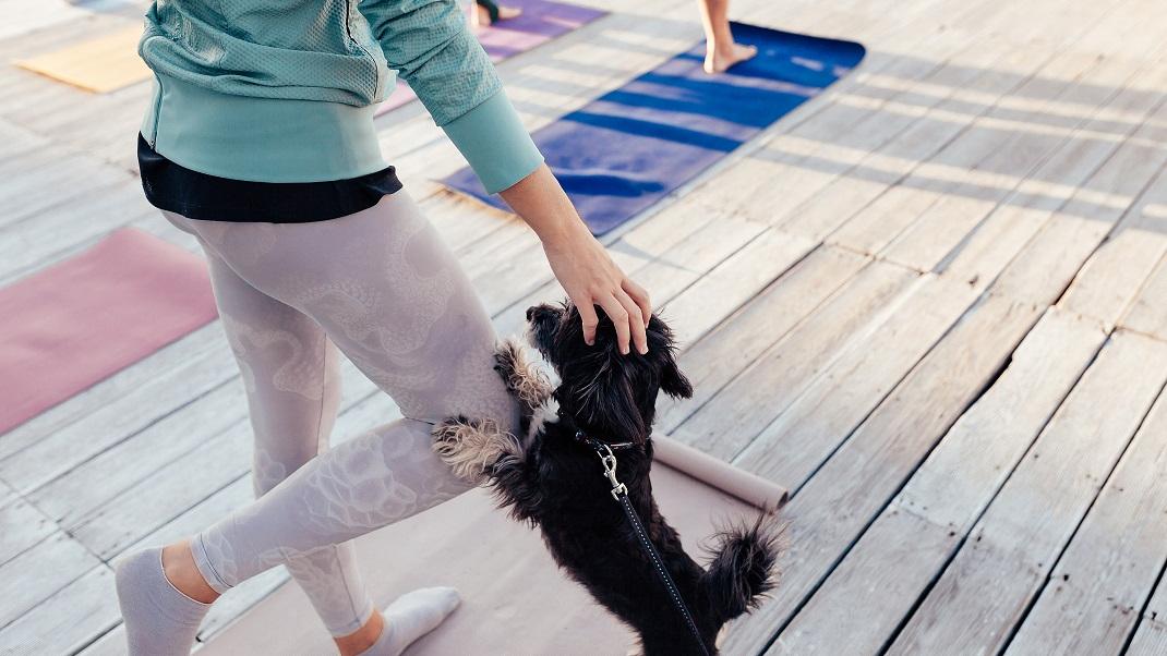 Puppy Yoga: Το νέο trend και γιατί να το υιοθετήσεις