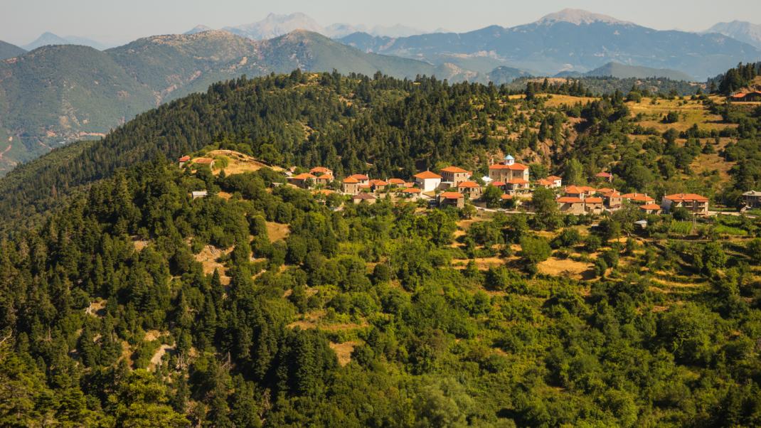 Τα Φιδάκια της Ευρυτανίας