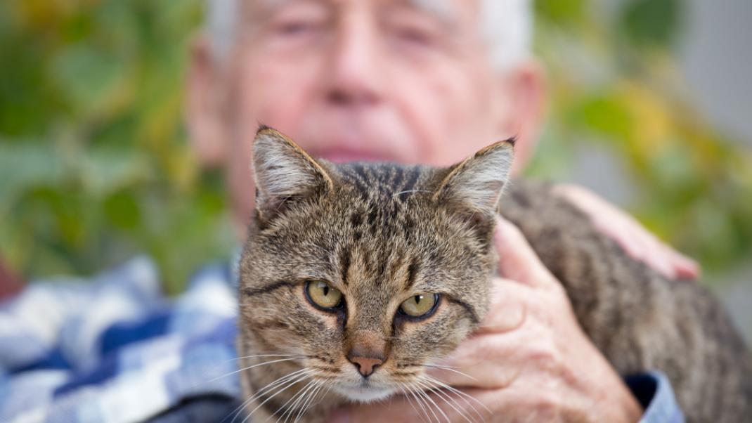 Ενας ηλικιωμένος κρατάει τη γάτα του, Φωτογραφία: Shutterstock/By Budimir Jevtic