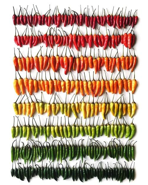 wrightkitchen.com