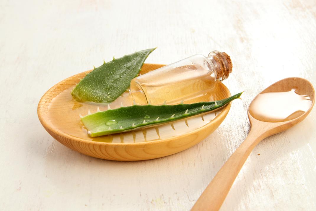 Рецепт маски из алоэ. Aloe Vera. Маска из алоэ. Маска для волос с соком алоэ. Маска для волос из меда и алоэ.