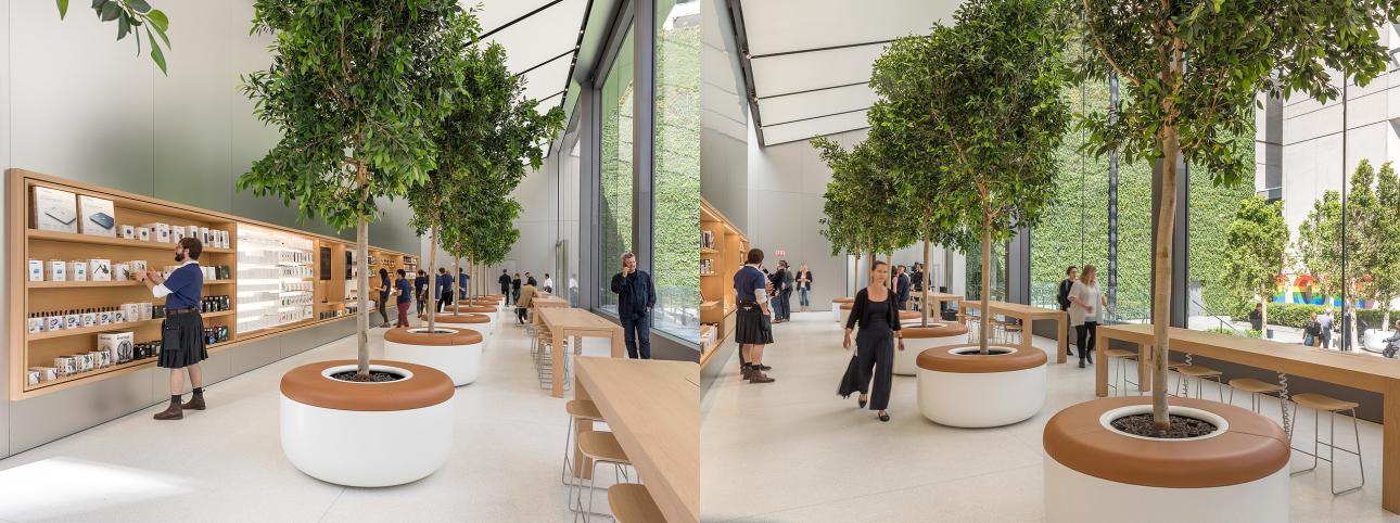 Courtesy Foster + Partners