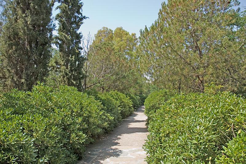 Αττικό Άλσος
