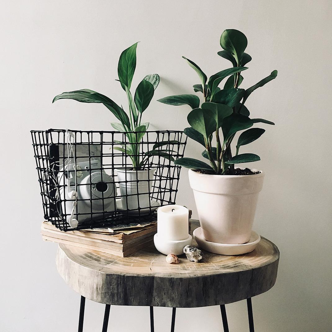 mojohandmades/ Instagram