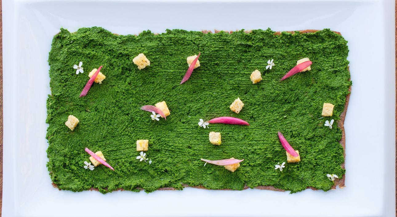 Salvia, Aristi Mountain Resort+Villas