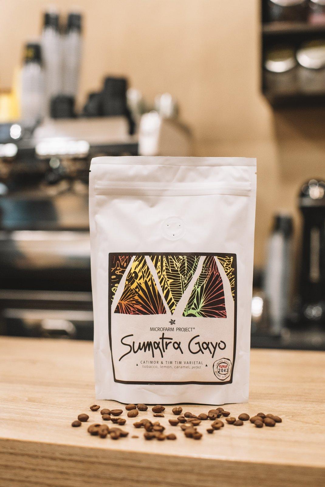 gayo sumatra gayo sumatra