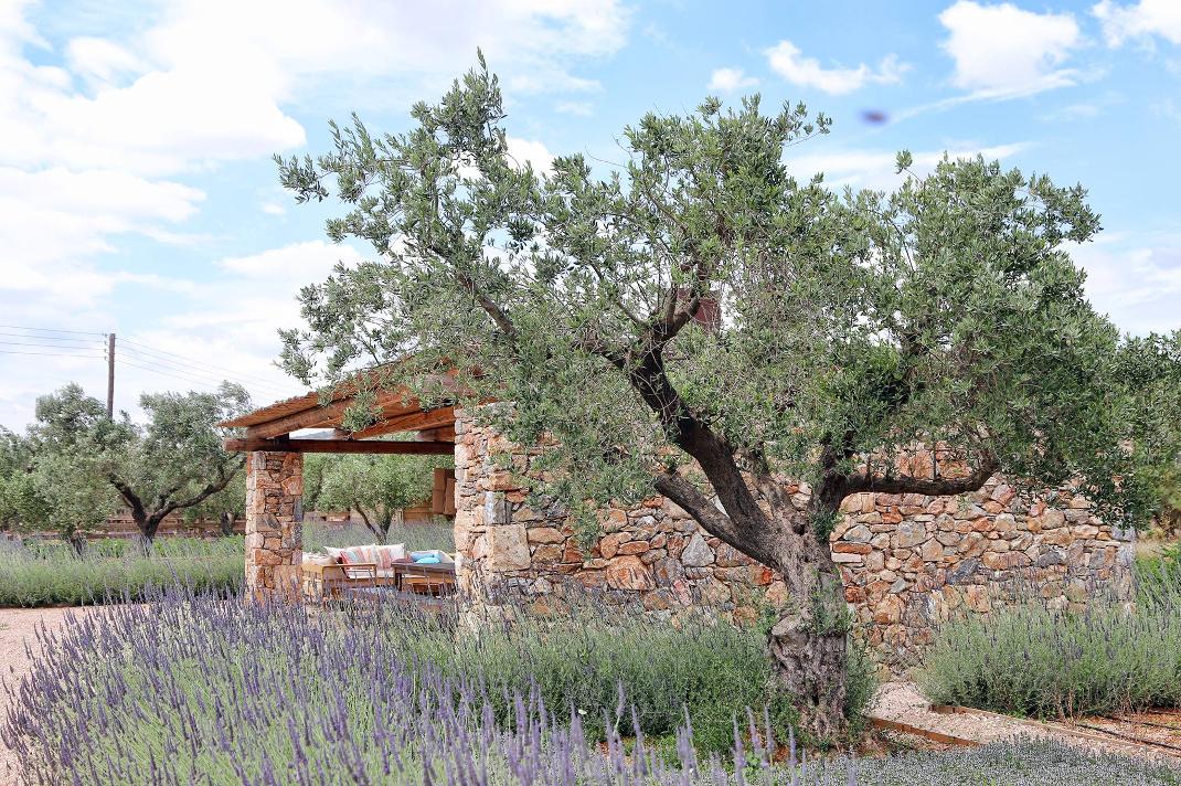 The Margi Farm/ Facebook