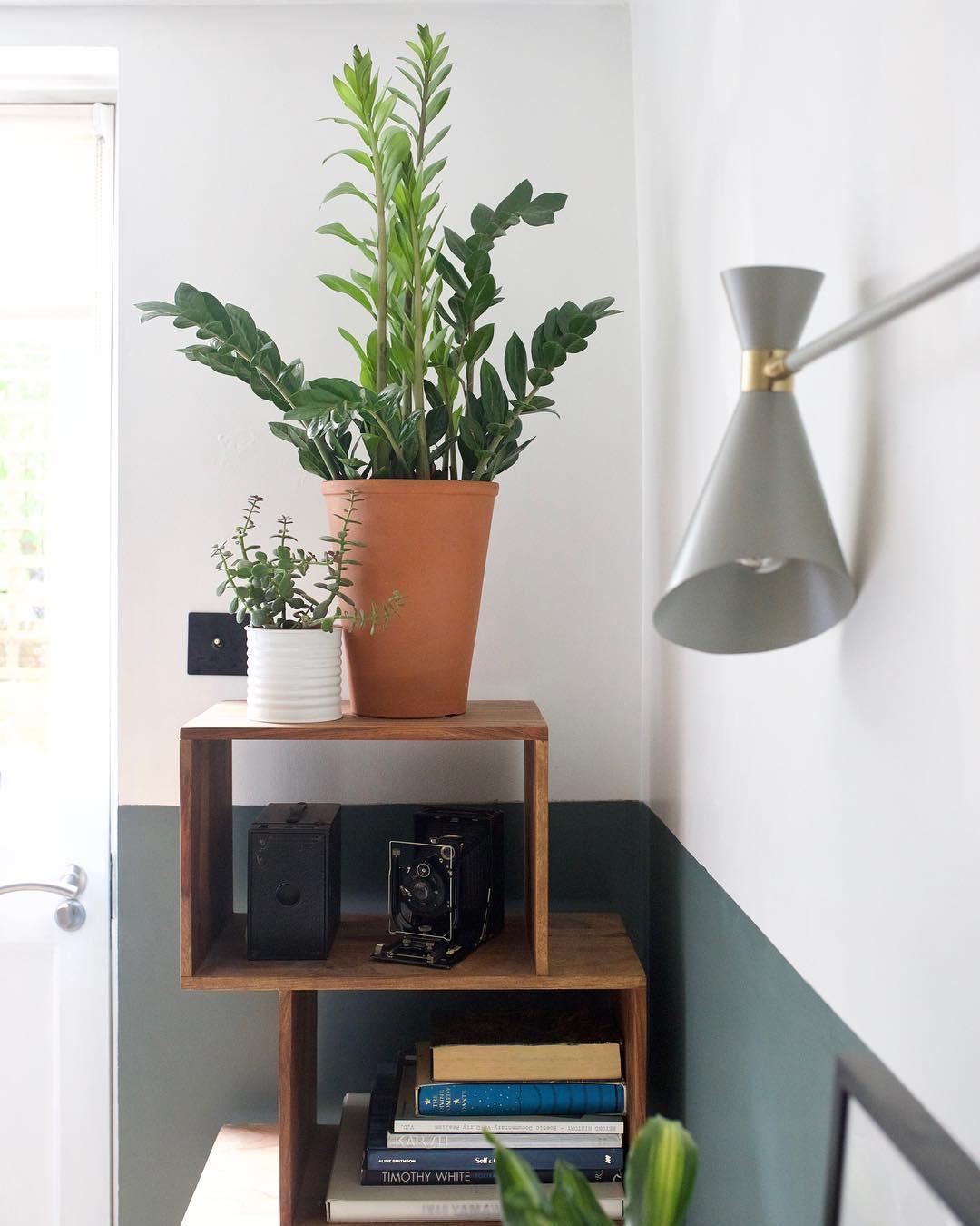 topologyinteriors/Ιnstagram