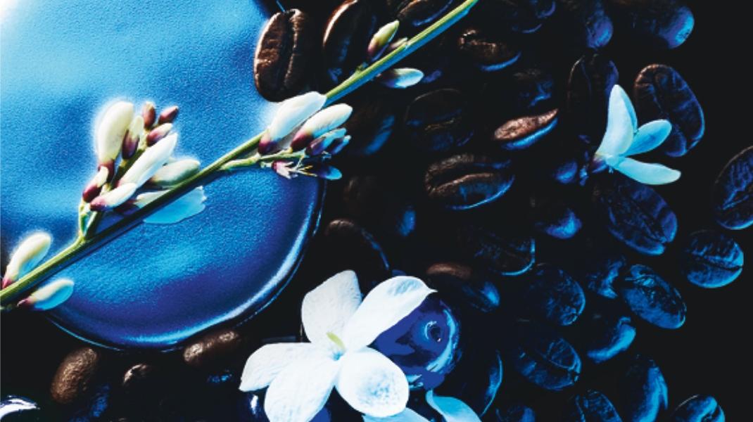 Η καμπάνια: Γίνε η νύχτα